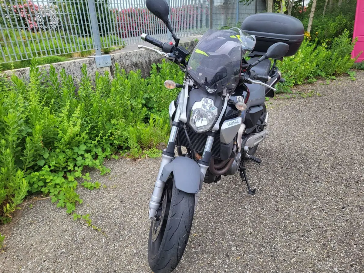 Yamaha MT-03 (2006 - 14) (5)