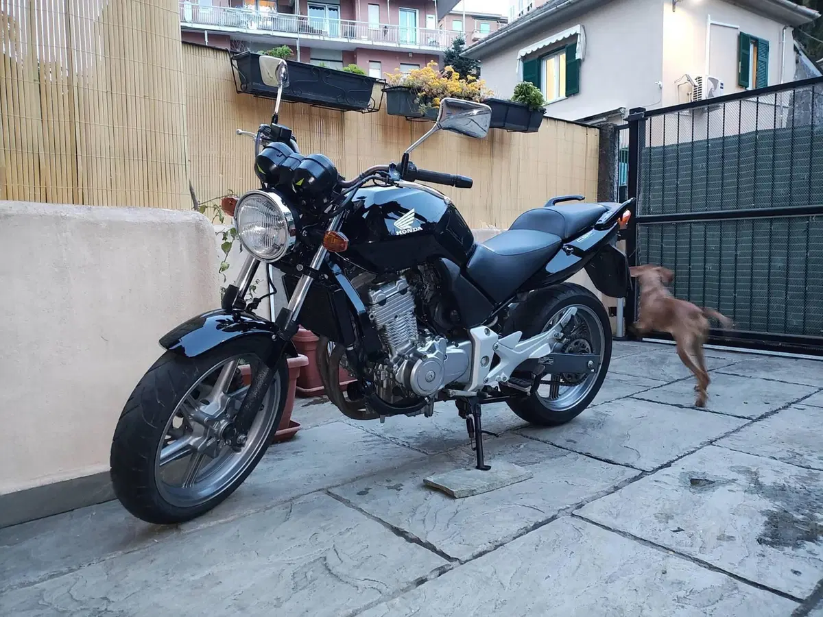 Honda Cbf (14)