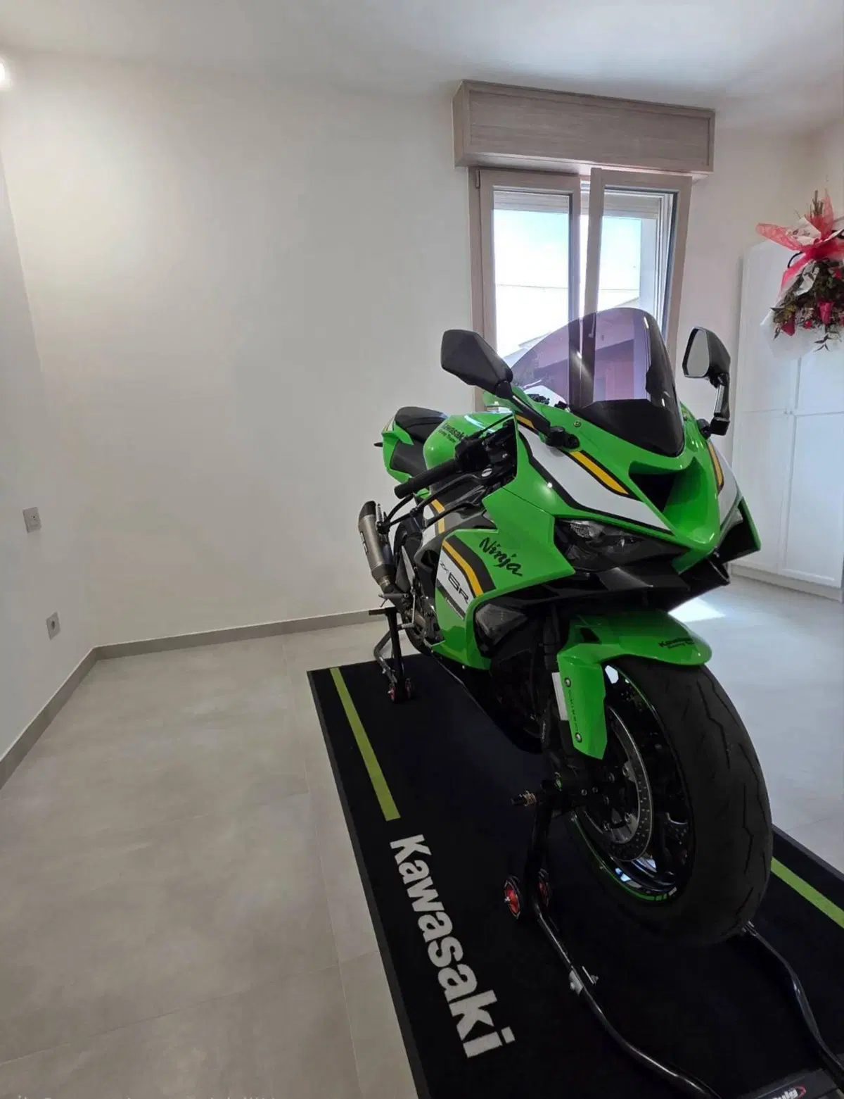 Kawasaki Ninja 636 ZX-6R (2024 - 26) (3)