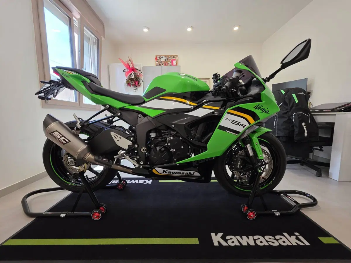 Kawasaki Ninja 636 ZX-6R (2024 - 26) (7)
