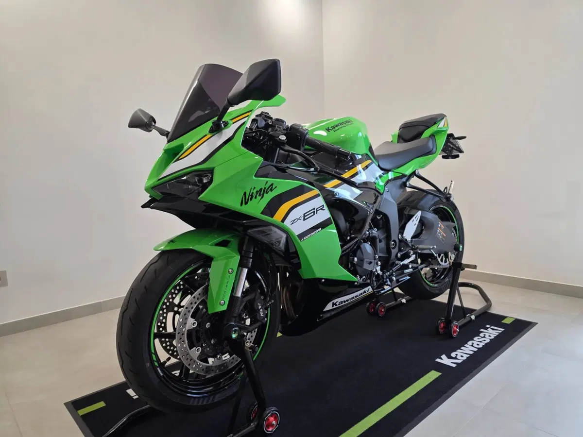 Kawasaki Ninja 636 ZX-6R (2024 - 26) (8)