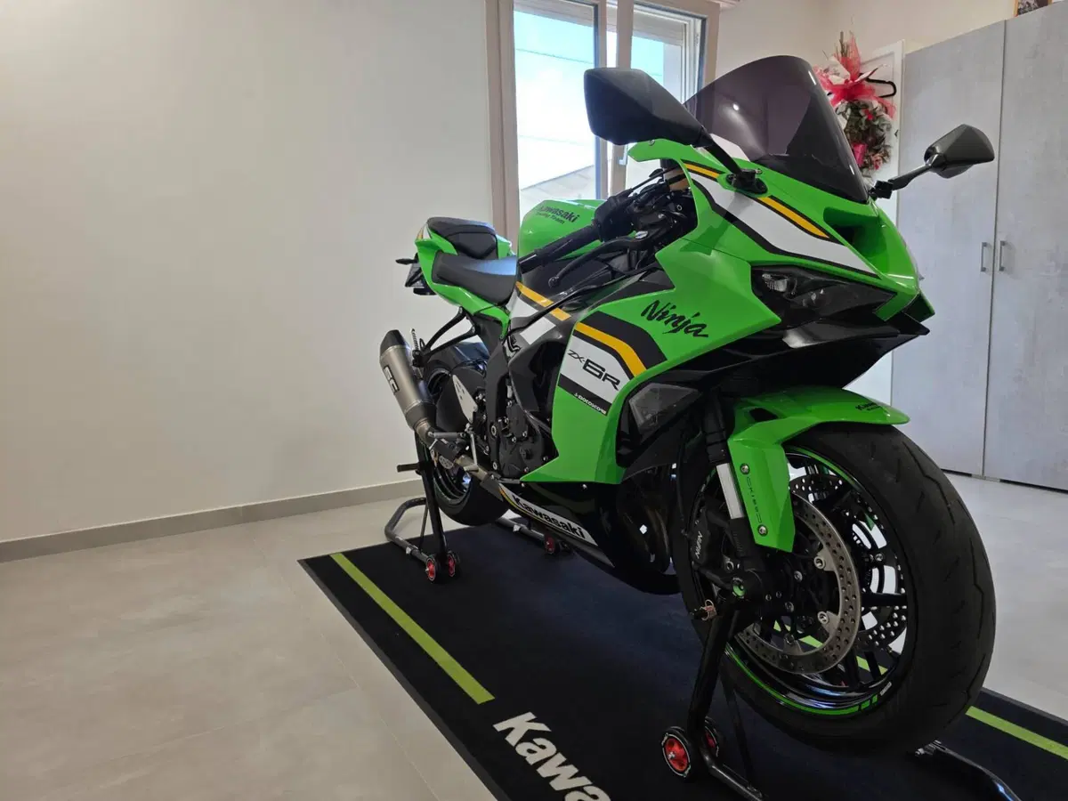 Kawasaki Ninja 636 ZX-6R (2024 - 26) (9)