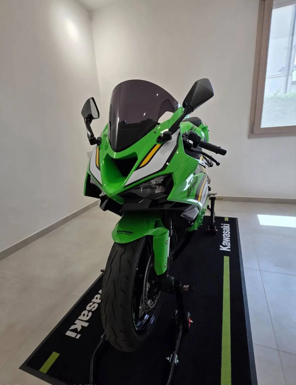 Kawasaki Ninja 636 ZX-6R (2024 - 26) (11)
