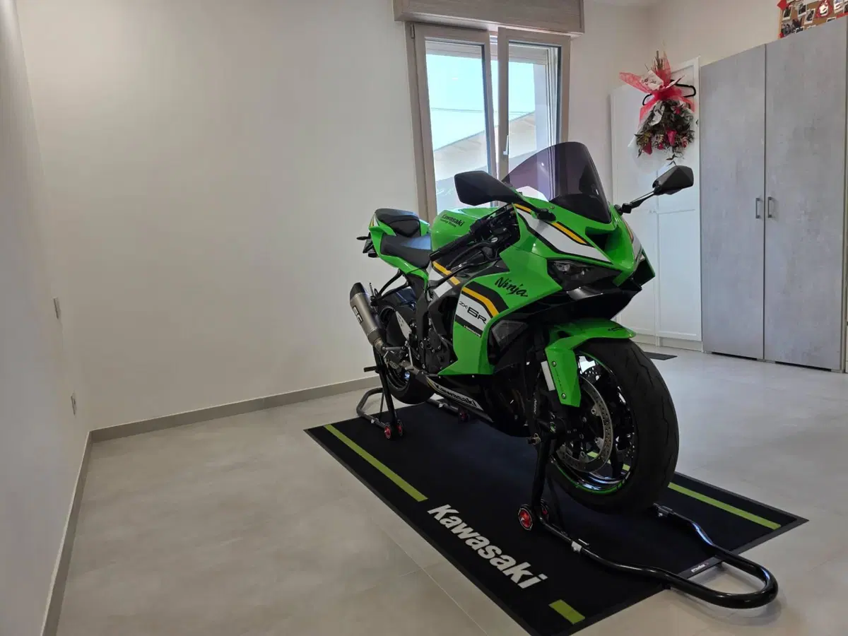Kawasaki Ninja 636 ZX-6R (2024 - 26) (12)
