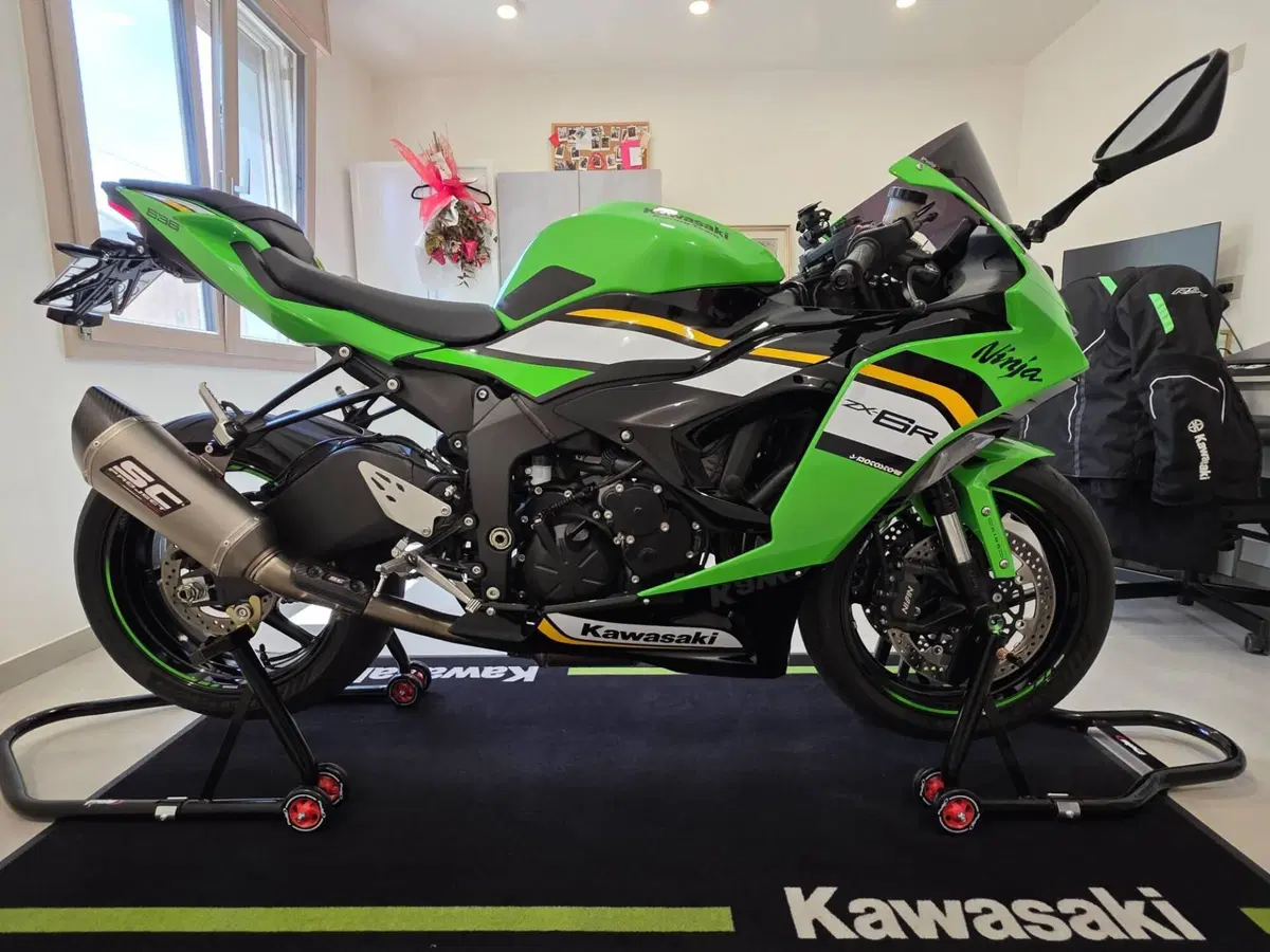 Kawasaki Ninja 636 ZX-6R (2024 - 26) (13)