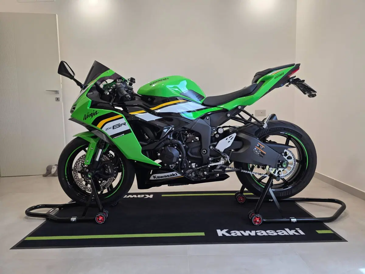 Kawasaki Ninja 636 ZX-6R (2024 - 26) (15)