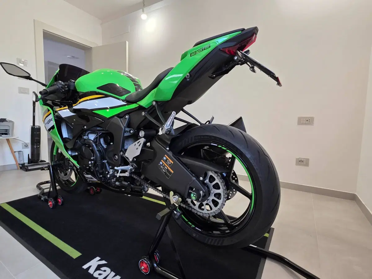 Kawasaki Ninja 636 ZX-6R (2024 - 26) (16)