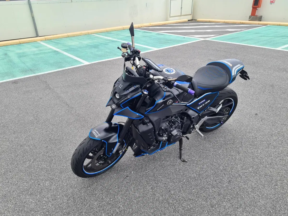 Yamaha MT-09 (2021 - 23) (5)