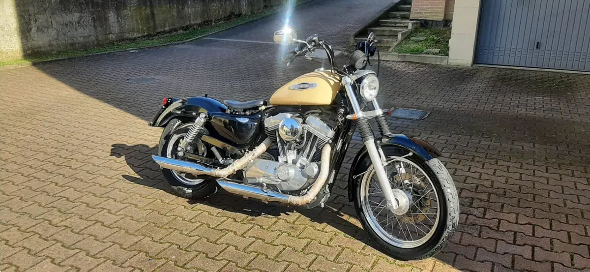 Harley-Davidson 883 Low (2006 - 07) - XL 883L