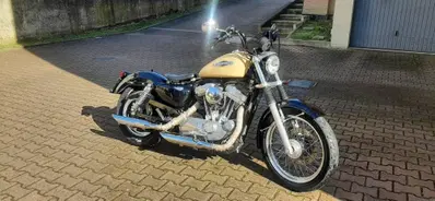 Harley-Davidson 883 Low (2006 - 07) - XL 883L usata