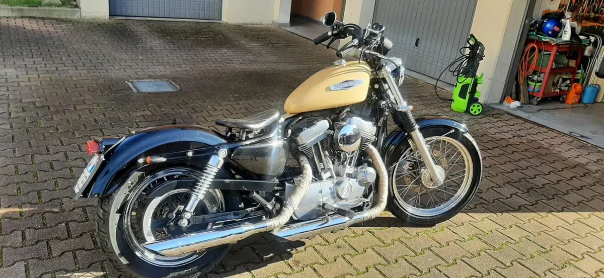 Harley-Davidson 883 Low (2006 - 07) - XL 883L (2)