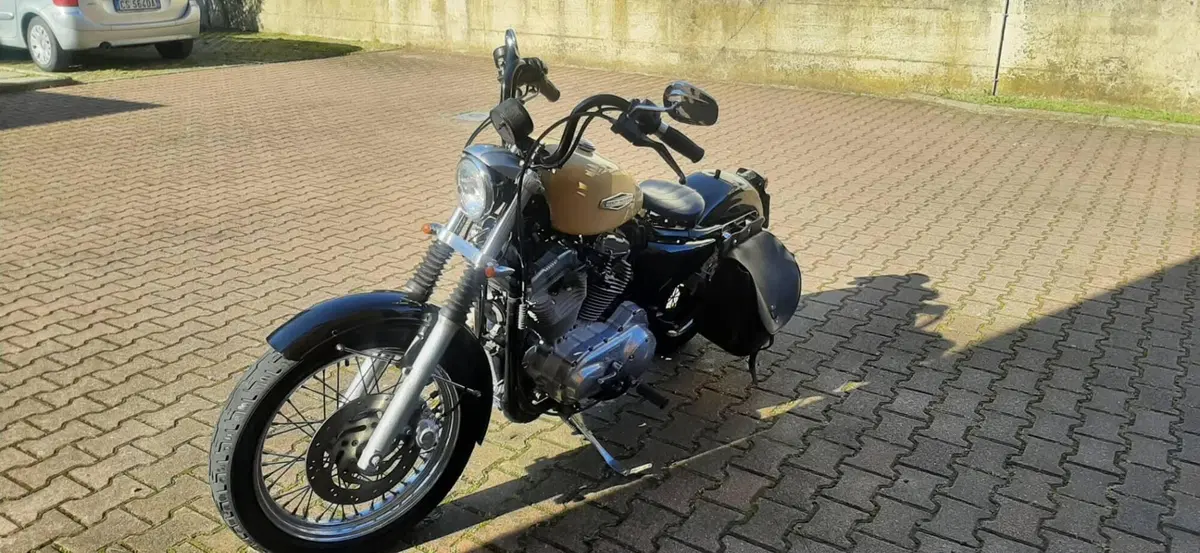 Harley-Davidson 883 Low (2006 - 07) - XL 883L (3)