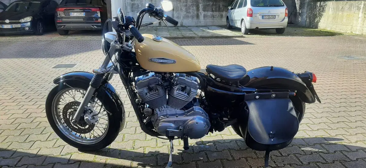 Harley-Davidson 883 Low (2006 - 07) - XL 883L (4)