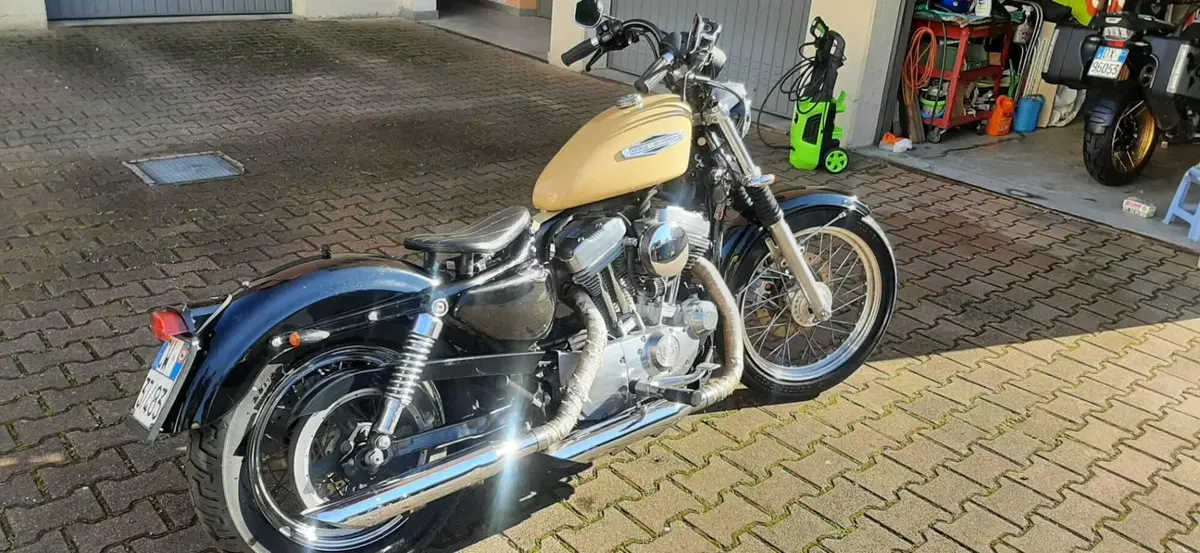 Harley-Davidson 883 Low (2006 - 07) - XL 883L (5)