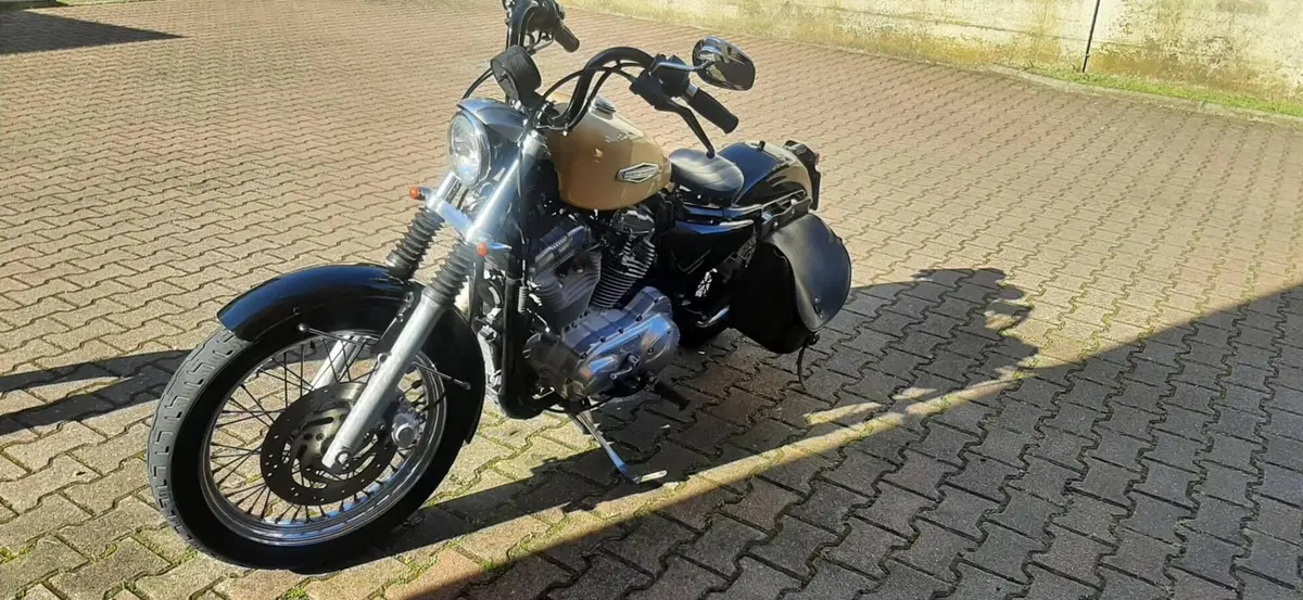 Harley-Davidson 883 Low (2006 - 07) - XL 883L (6)