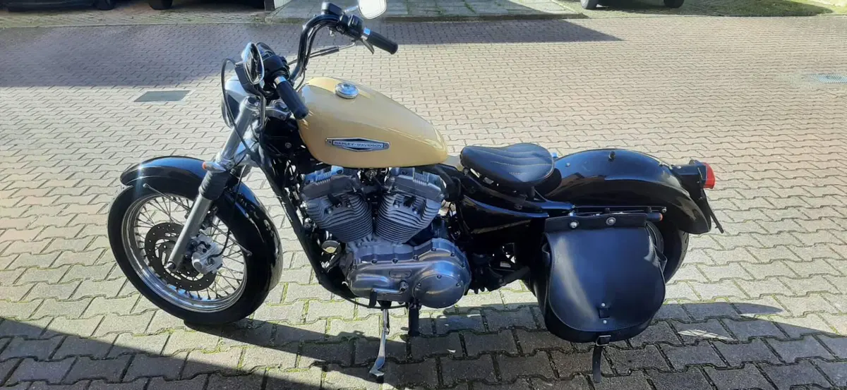Harley-Davidson 883 Low (2006 - 07) - XL 883L (7)