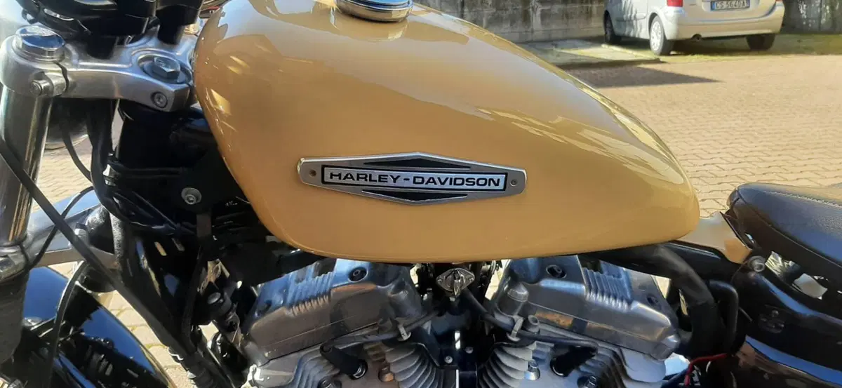 Harley-Davidson 883 Low (2006 - 07) - XL 883L (8)