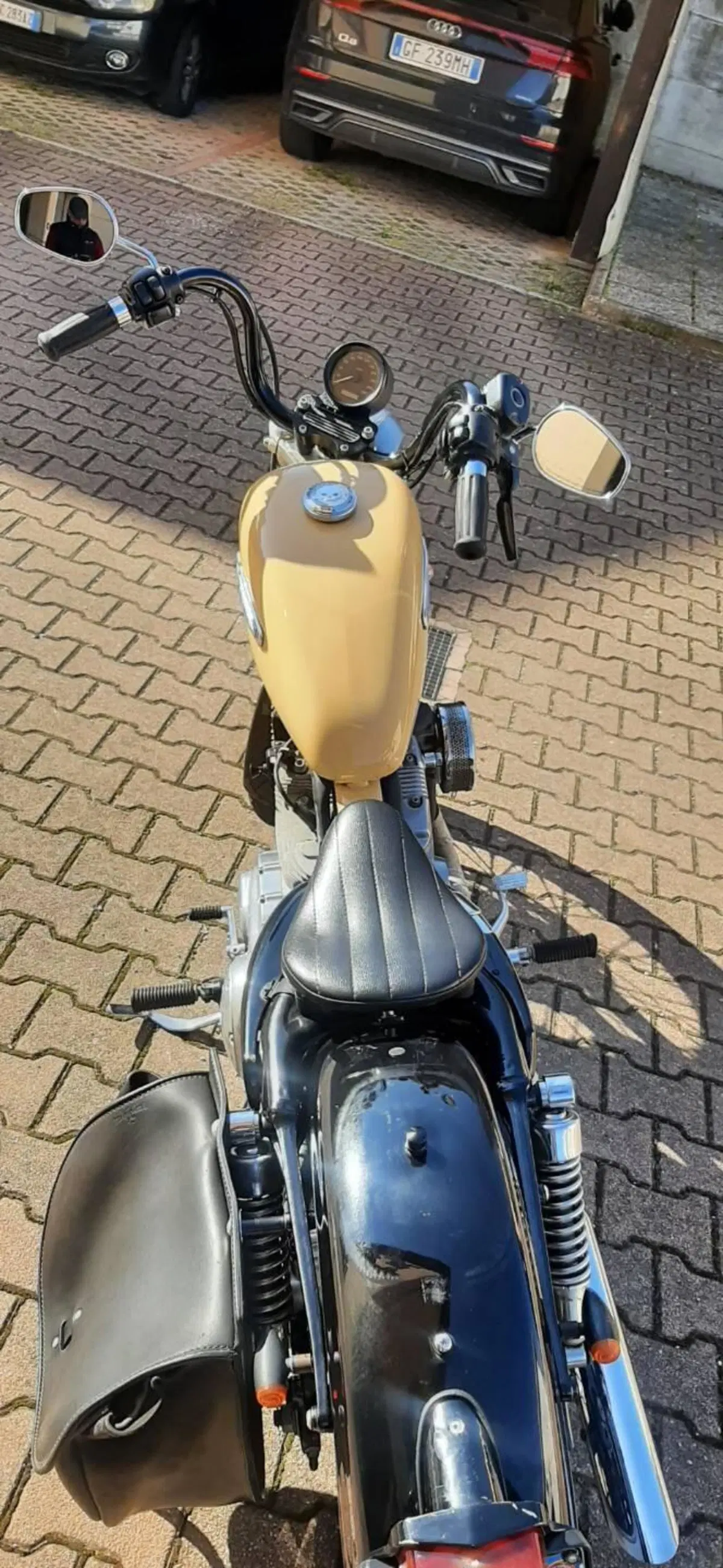 Harley-Davidson 883 Low (2006 - 07) - XL 883L (9)