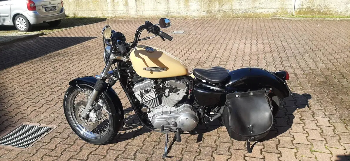 Harley-Davidson 883 Low (2006 - 07) - XL 883L (10)