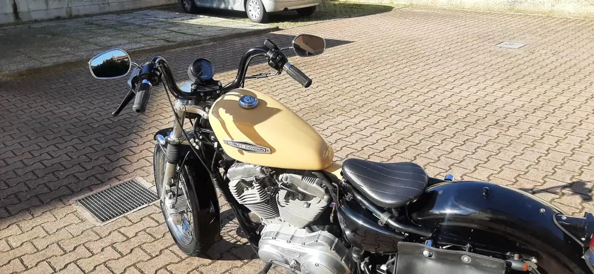 Harley-Davidson 883 Low (2006 - 07) - XL 883L (11)
