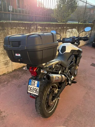 Triumph Tiger 800 ABS (2010 - 14) usata