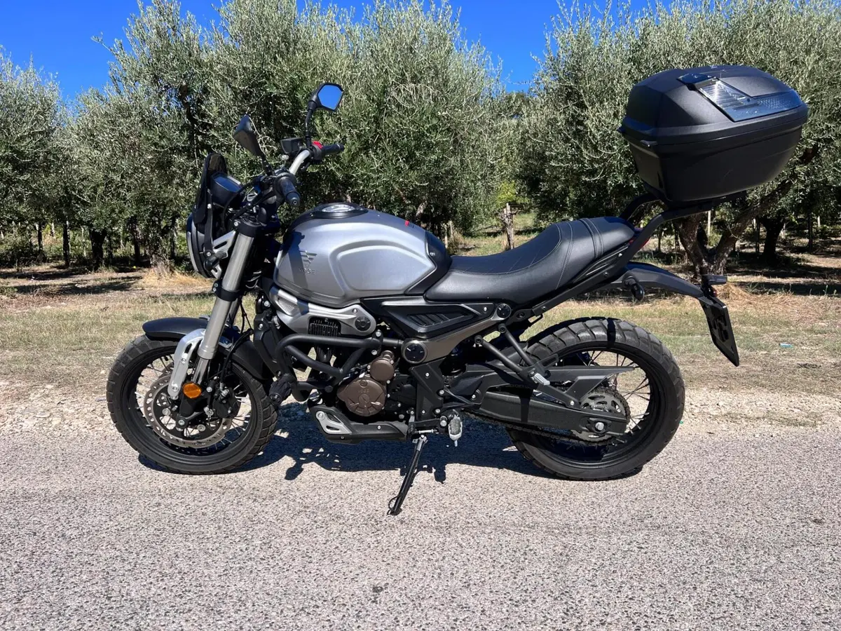 Voge Trofeo 300ACX Scrambler (2021 - 26)