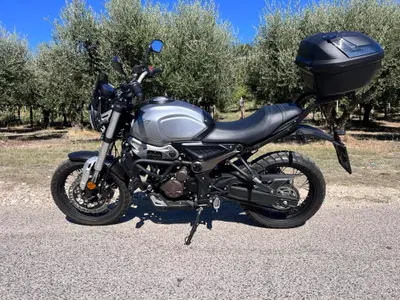 Voge Trofeo 300ACX Scrambler (2021 - 26) usata