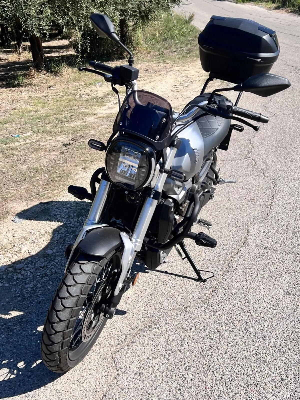 Voge Trofeo 300ACX Scrambler (2021 - 26) (2)