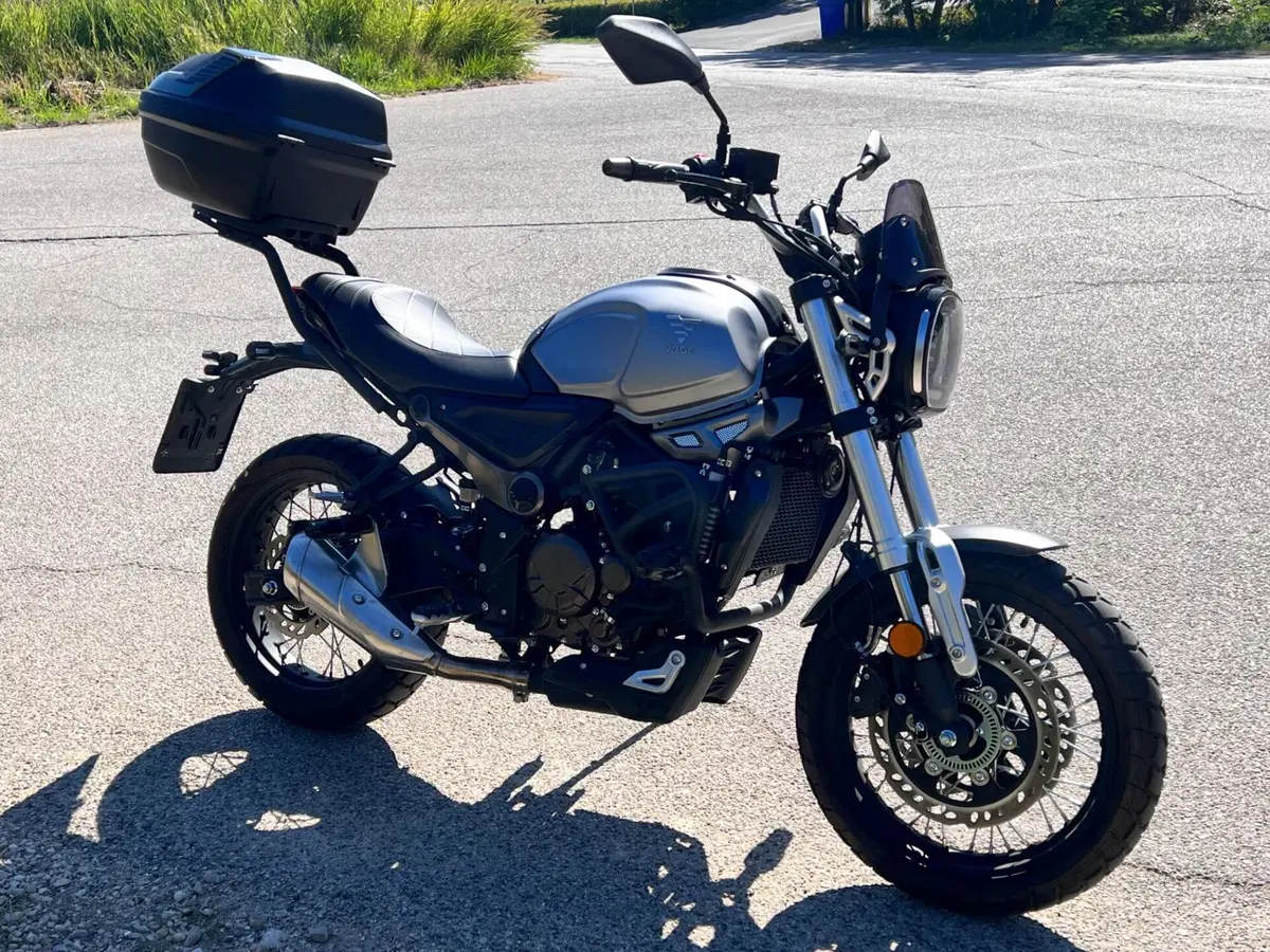 Voge Trofeo 300ACX Scrambler (2021 - 26) (3)