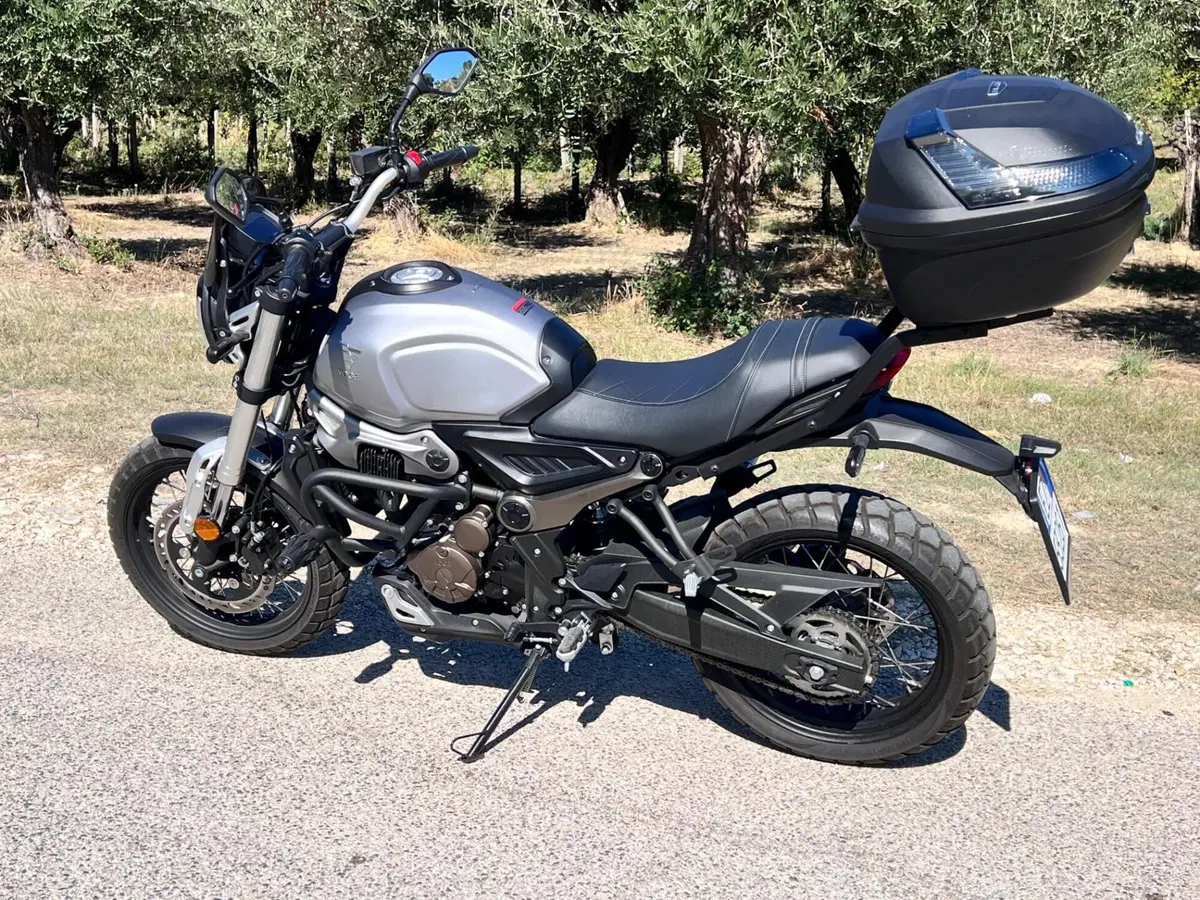 Voge Trofeo 300ACX Scrambler (2021 - 26) (8)