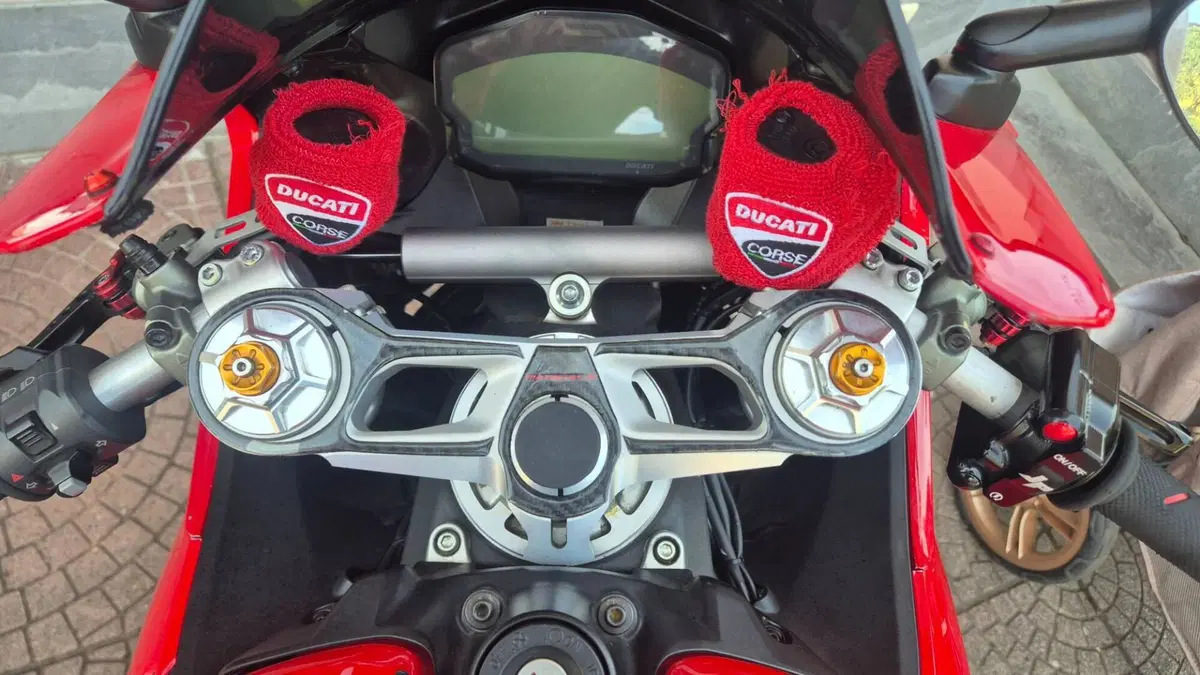 Ducati 959 Panigale (2016 - 19) (3)