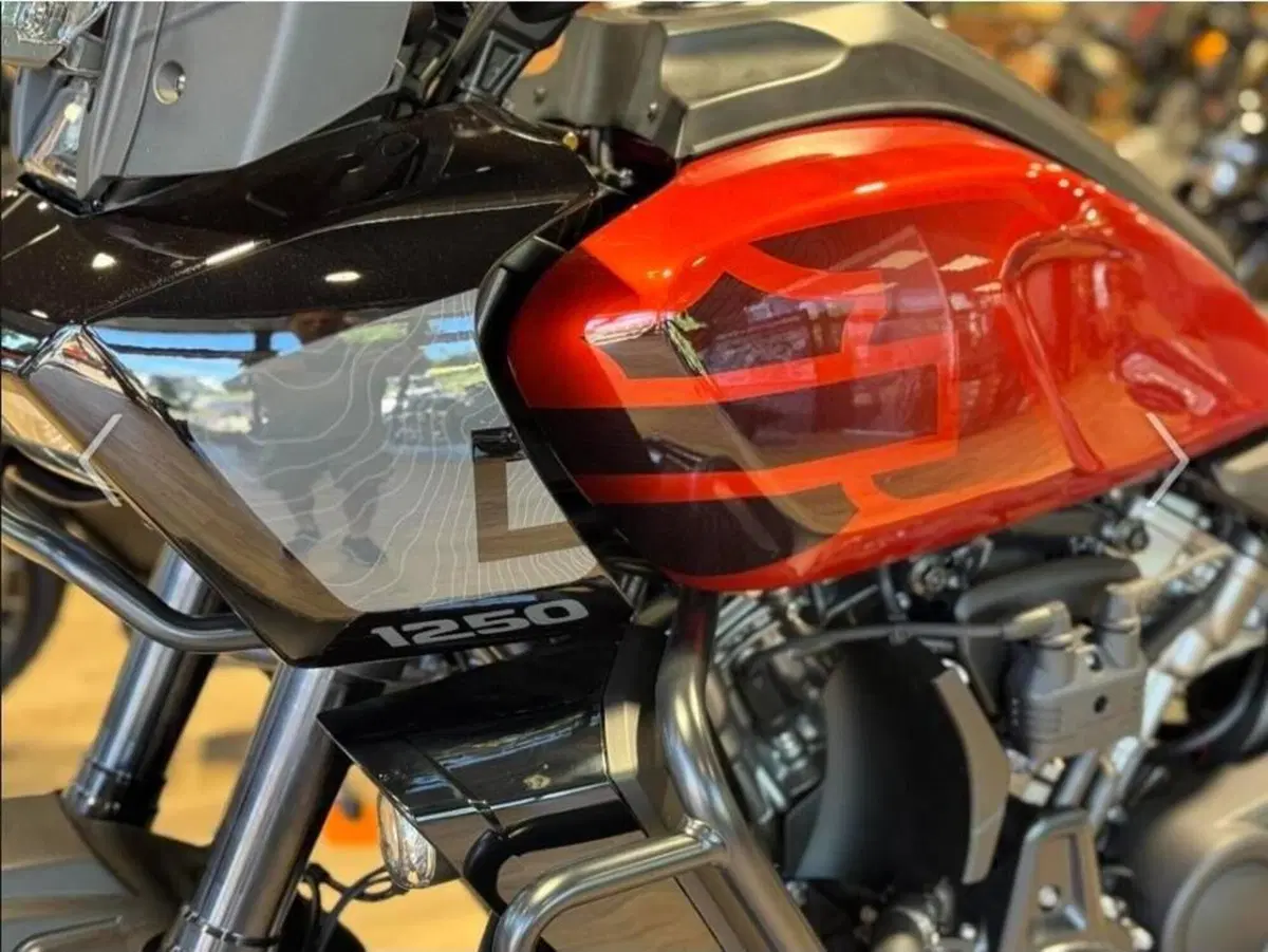 Harley-Davidson Pan America 1250 Special (2020 - 25) (2)
