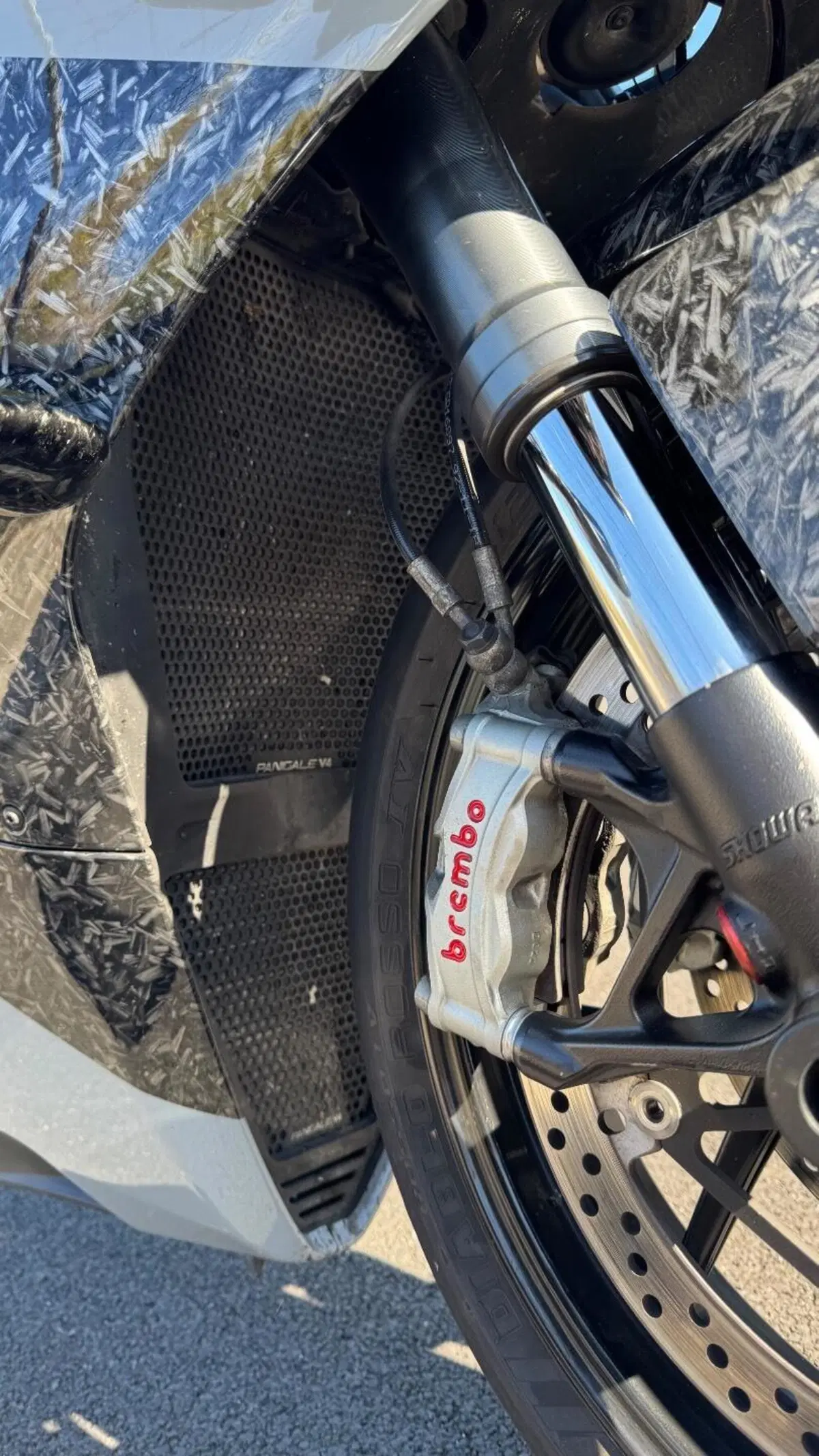 Ducati Panigale V4 1100 (2018 - 19) (3)