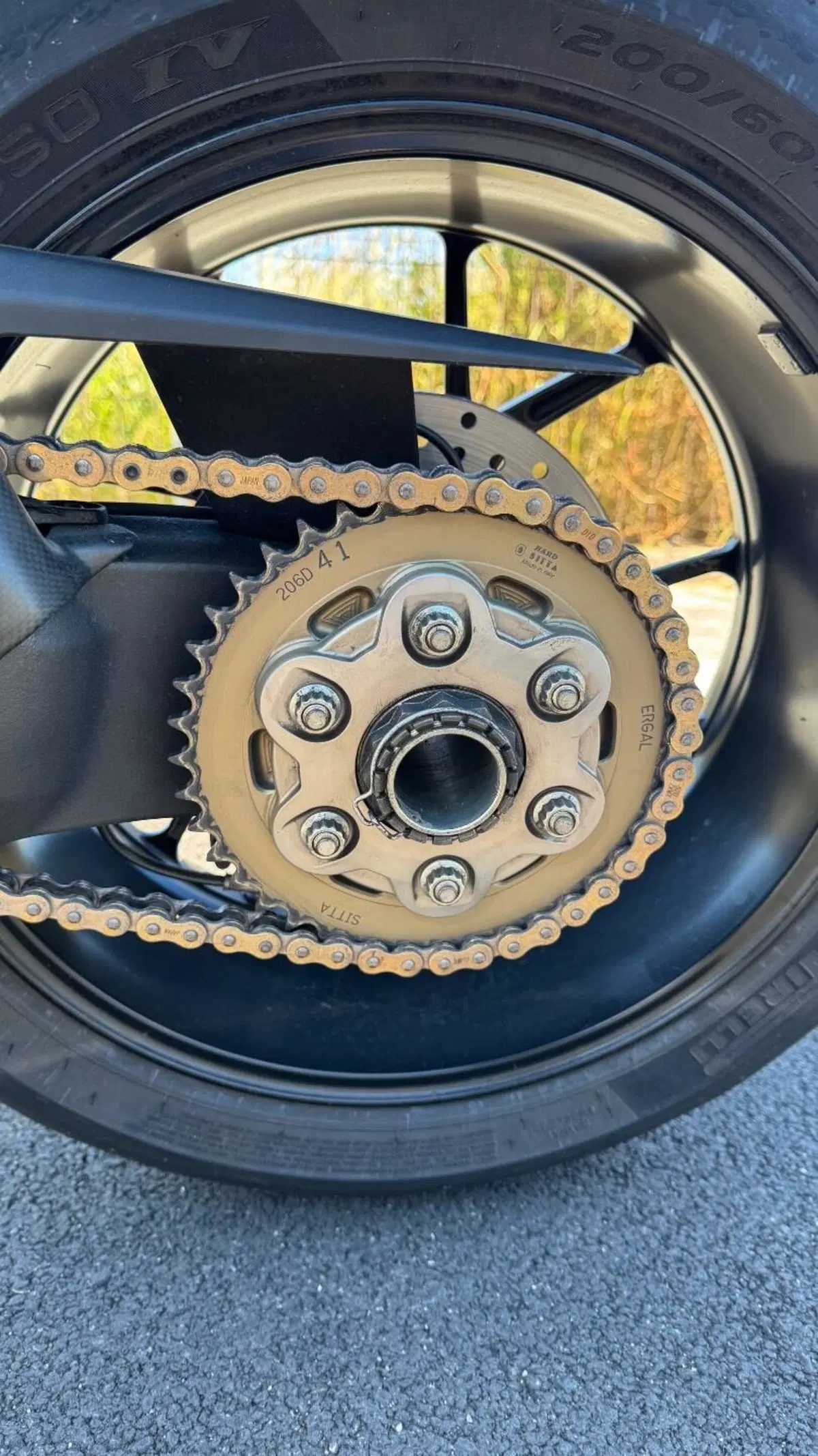 Ducati Panigale V4 1100 (2018 - 19) (9)
