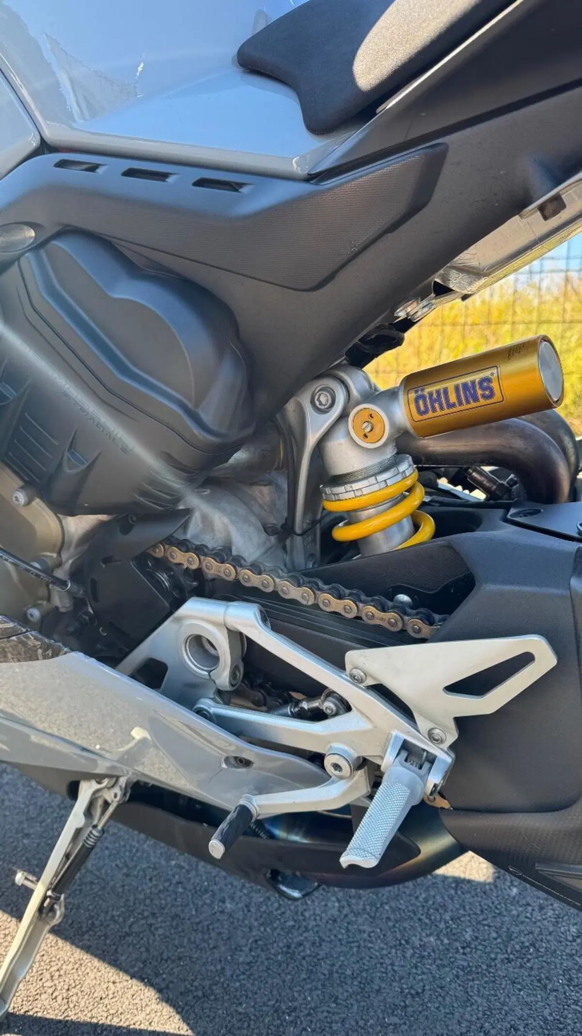 Ducati Panigale V4 1100 (2018 - 19) (10)