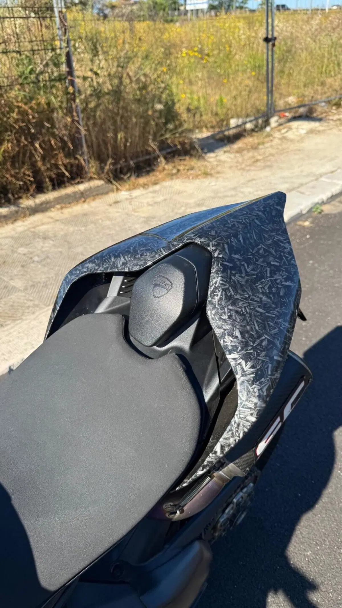 Ducati Panigale V4 1100 (2018 - 19) (13)