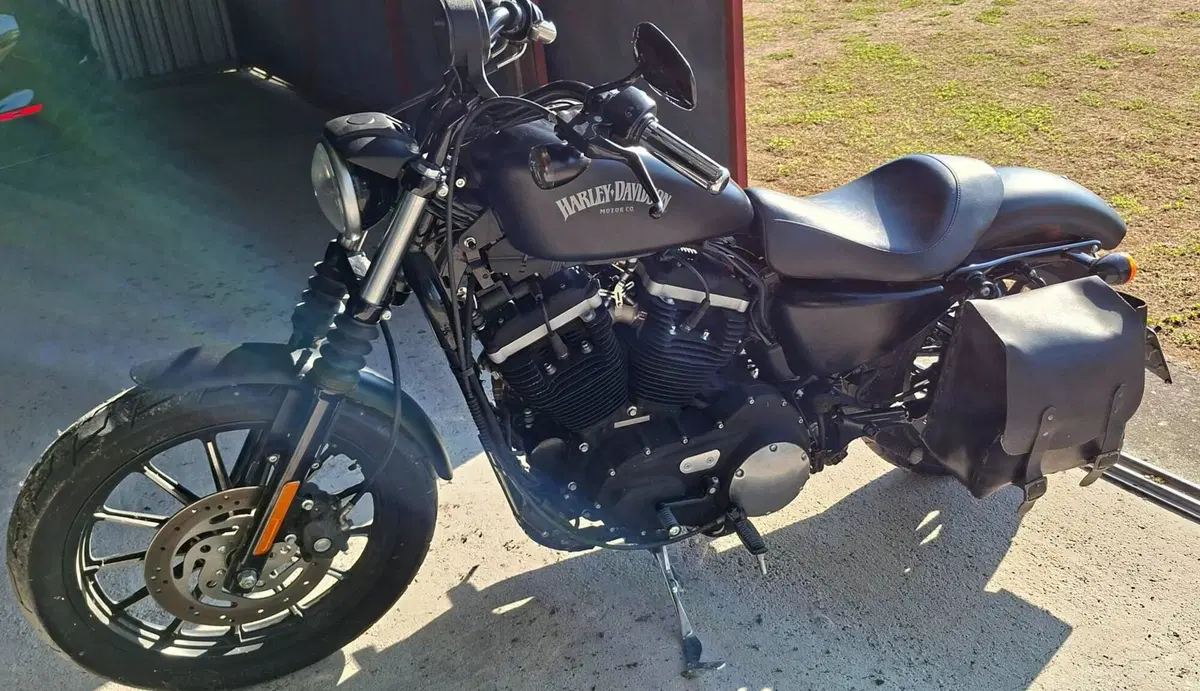 Harley-Davidson 883 Iron (2014 - 16) - XL 883N (2)