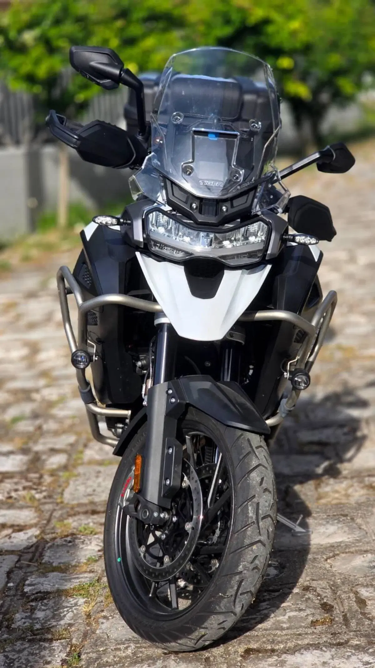 Triumph Tiger 1200 GT Explorer (2022 - 23) (3)