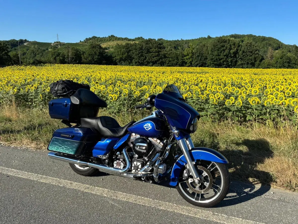 Harley-Davidson 1690 Street Glide Special (2014 - 16) - FLHX (14)