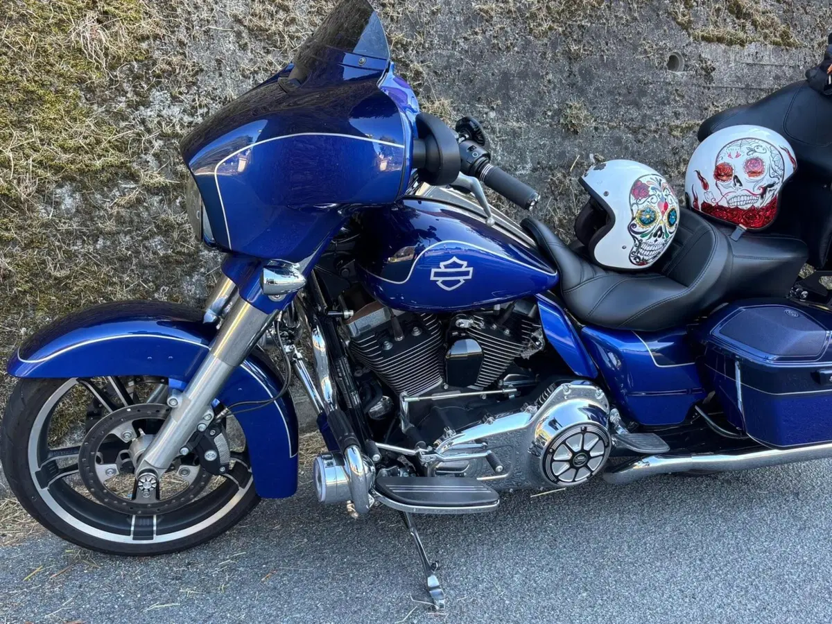 Harley-Davidson 1690 Street Glide Special (2014 - 16) - FLHX (16)