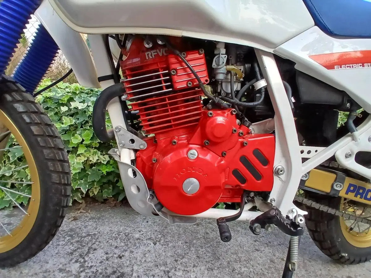 Honda XL 600 LM (11)