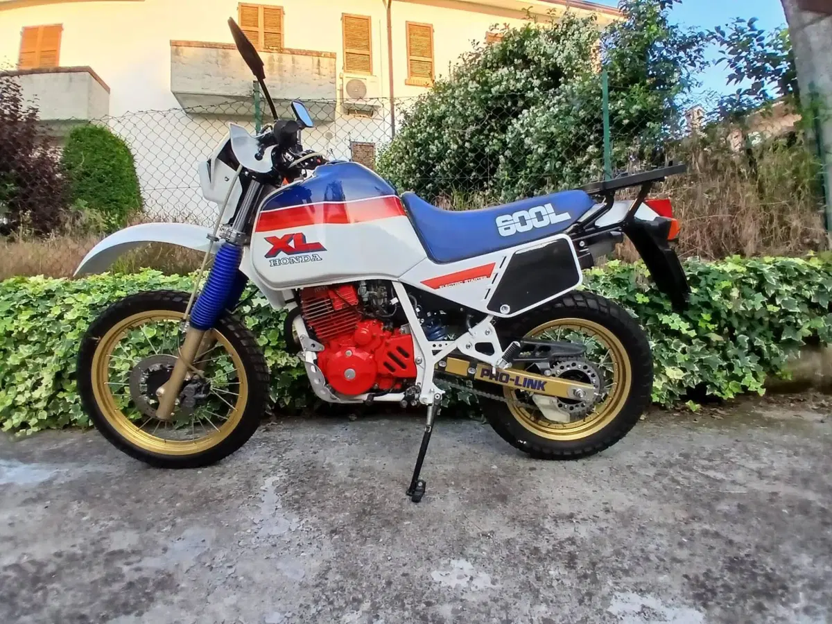 Honda XL 600 LM (12)