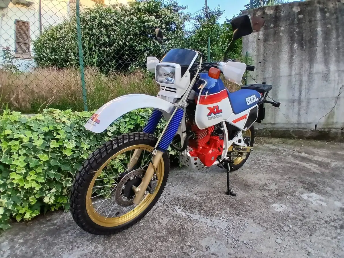 Honda XL 600 LM (13)