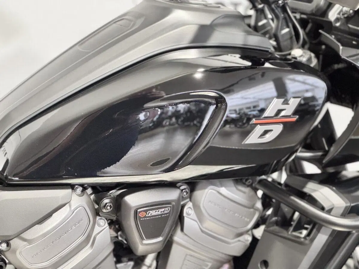 Harley-Davidson Pan America 1250 (2020 - 25) (14)
