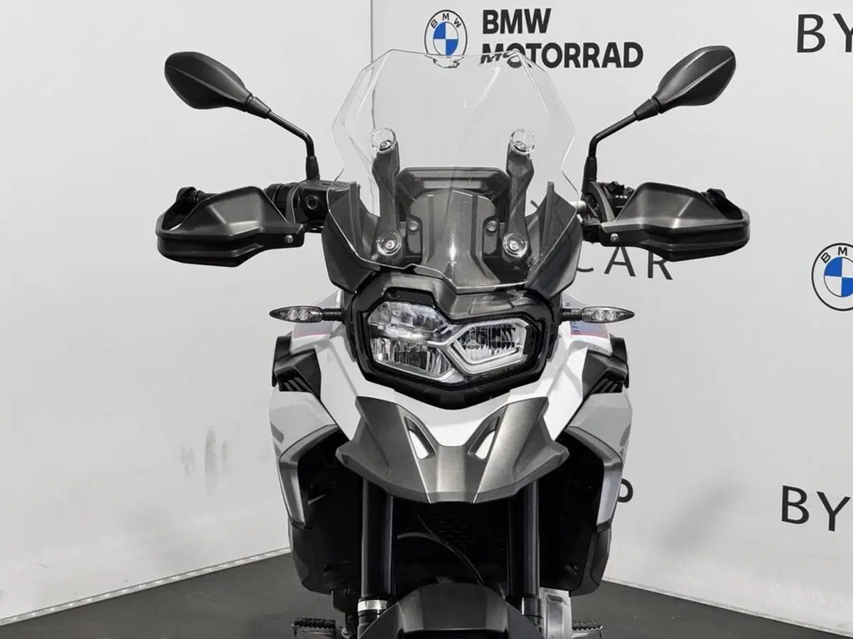 Bmw F 850 GS (2018 - 20) (8)