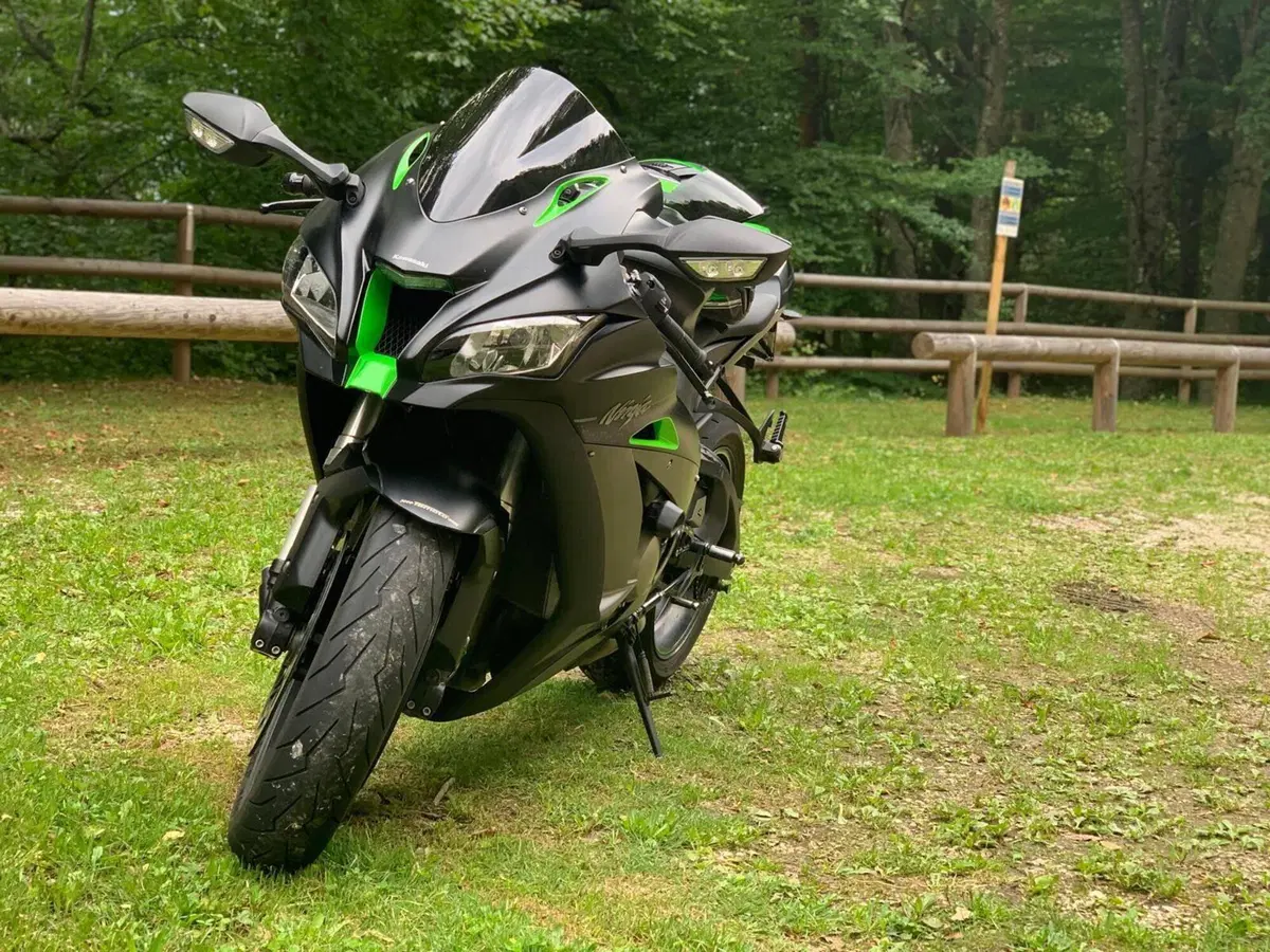 Kawasaki Ninja 1000 ZX-10R SE (2018)