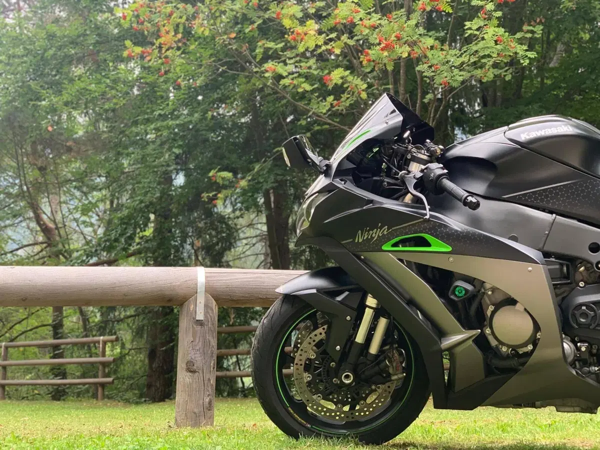 Kawasaki Ninja 1000 ZX-10R SE (2018) (2)