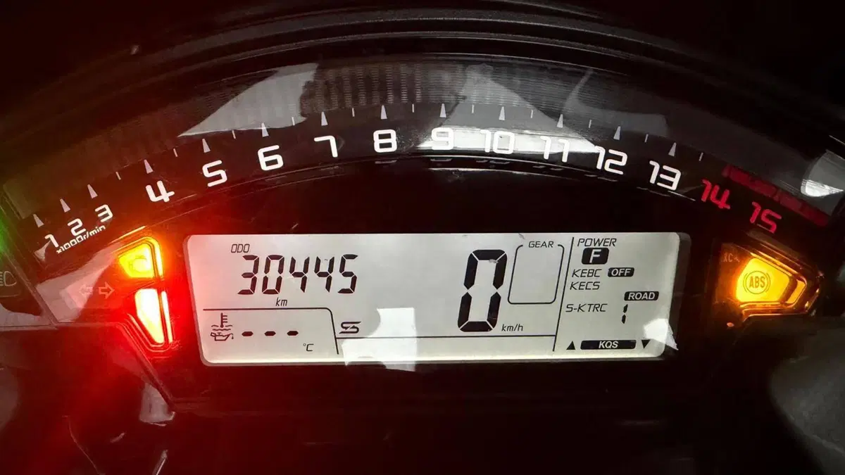 Kawasaki Ninja 1000 ZX-10R SE (2018) (3)