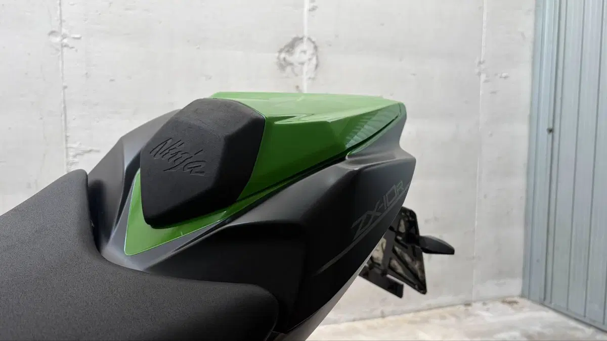 Kawasaki Ninja 1000 ZX-10R SE (2018) (4)