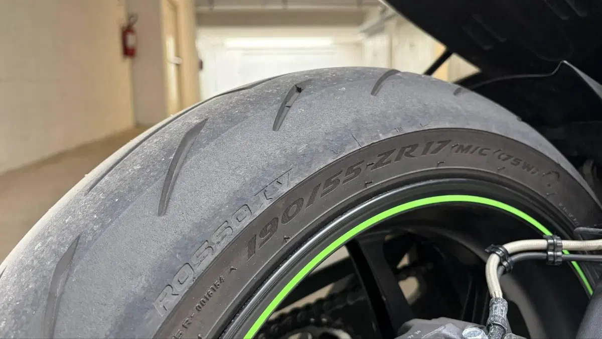 Kawasaki Ninja 1000 ZX-10R SE (2018) (5)
